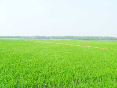 基地图片